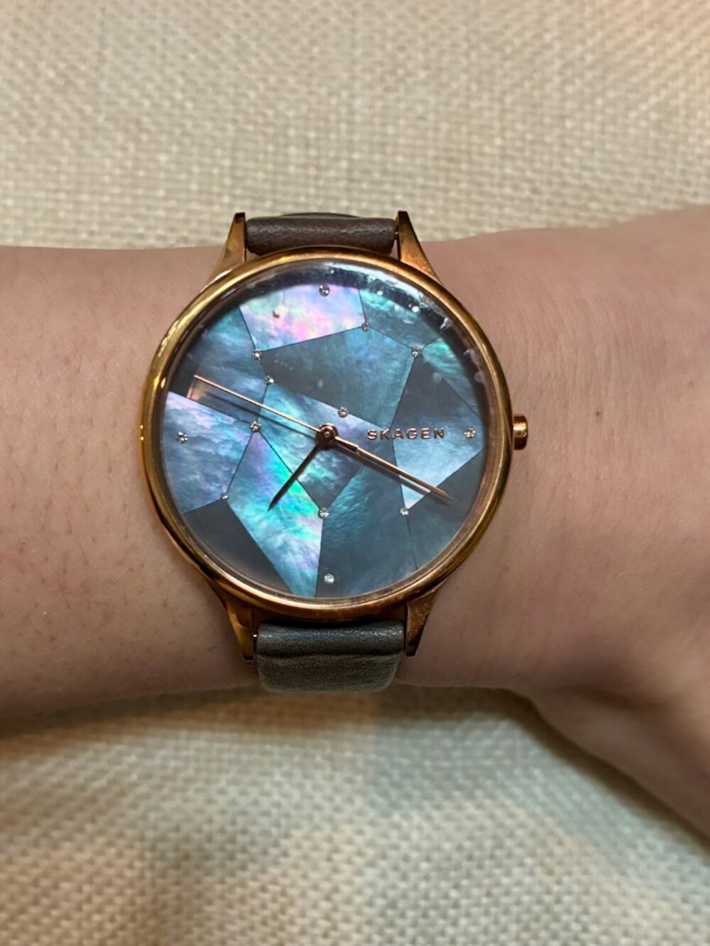 Skagen Women's Anita Watch